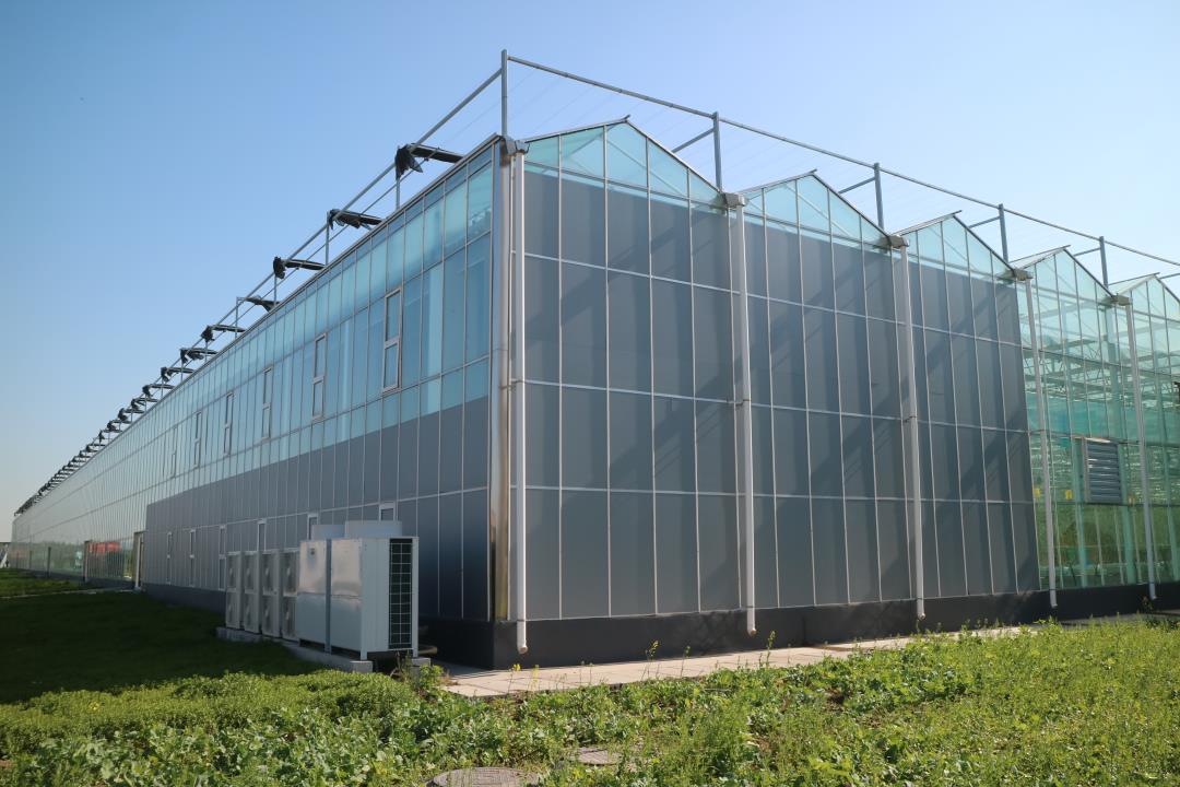 1627543996252185.jpg 1627543996252185.jpg