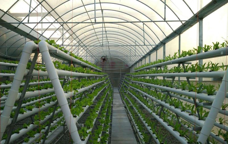 1628558880376560.jpg 1628558880376560.jpg