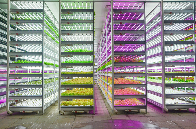 1628589141691313.jpg 1628589141691313.jpg