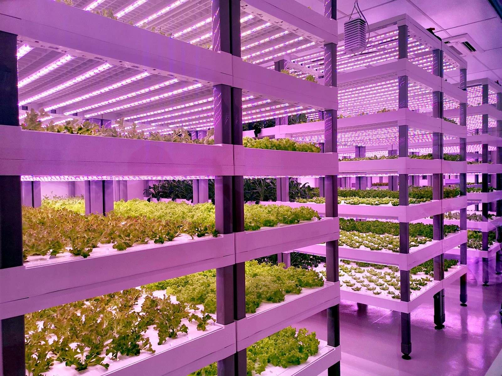 1628589142172670.jpg 1628589142172670.jpg