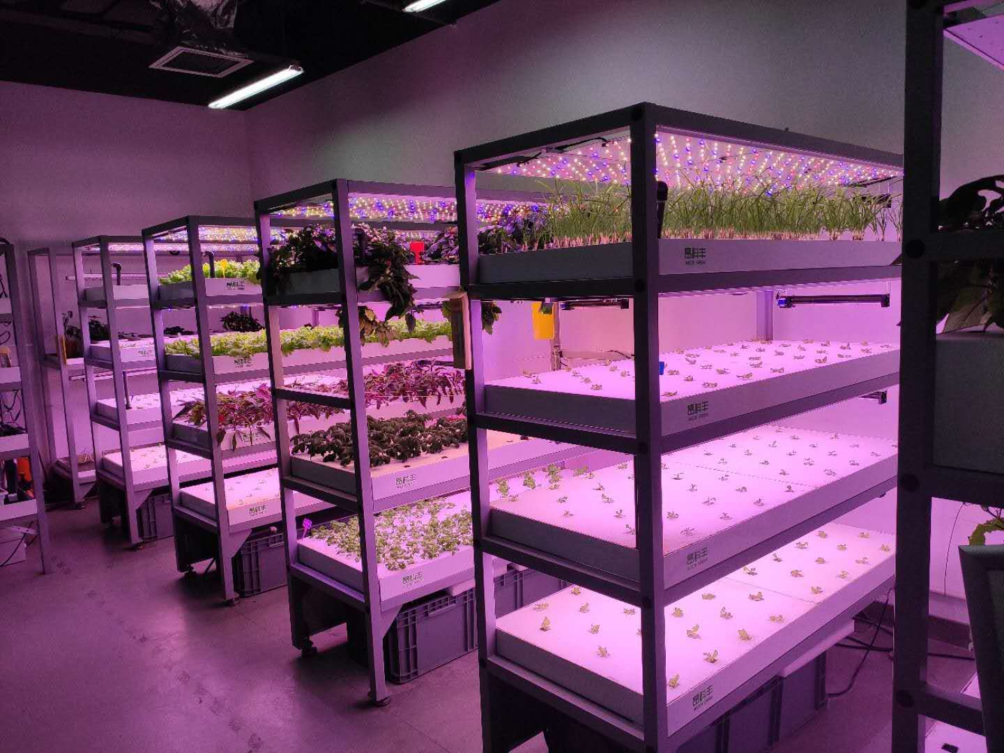 1628589581252625.jpg 1628589581252625.jpg