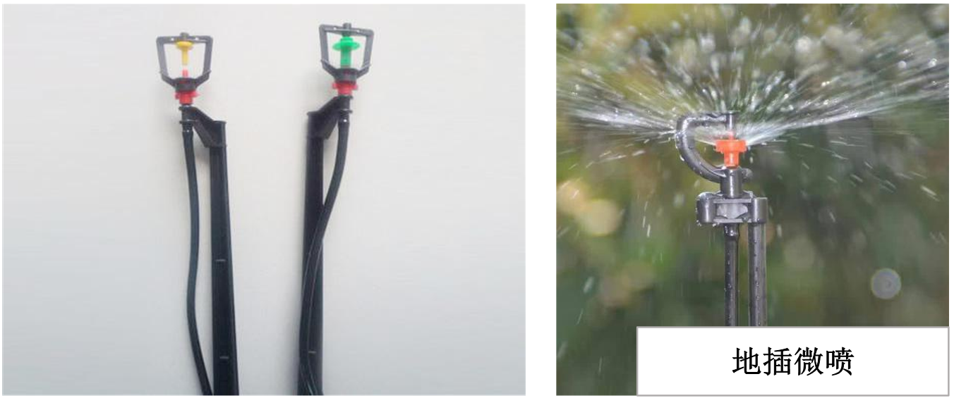 1628815655172828.png 1628815655172828.png