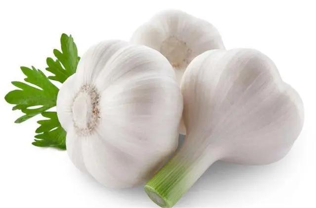 1689834835354294.jpg u=2086079041,2266144990&fm=253&fmt=auto&app=138&f=JPEG.webp.jpg