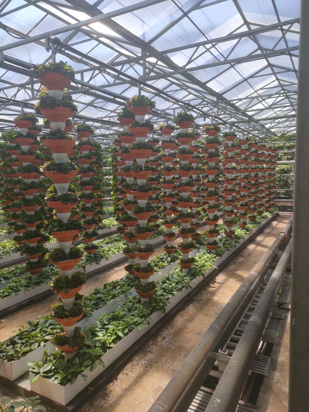 国产91视频网站地址案例