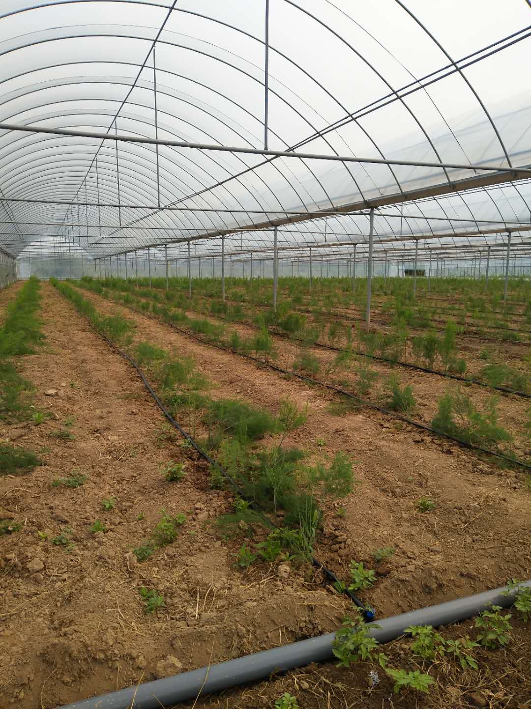 国产91视频网站地址案例