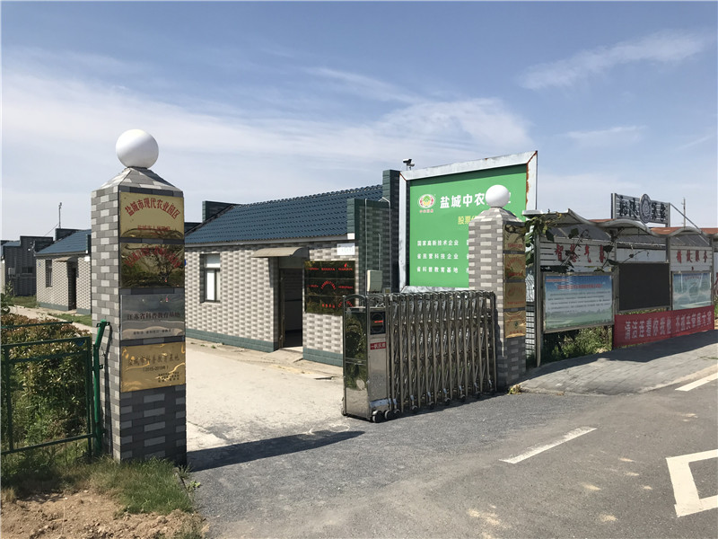 91视频APP在线观看基地