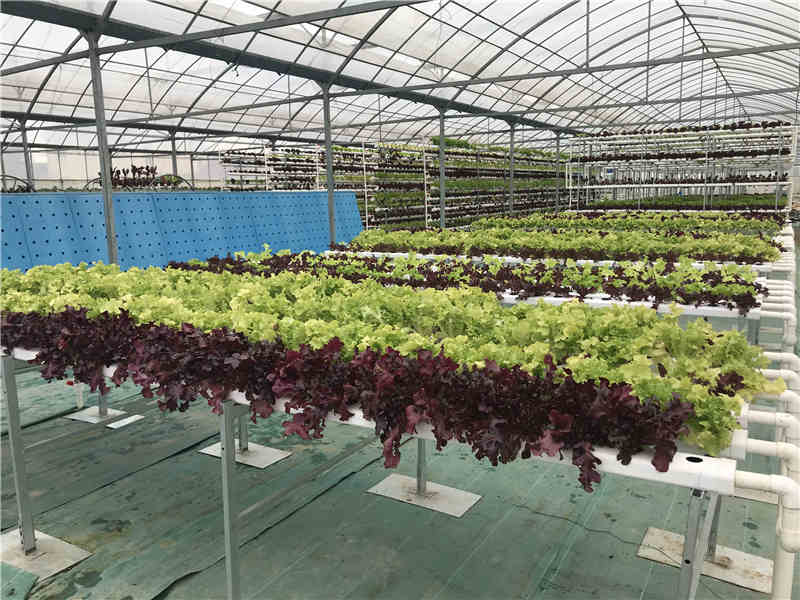 淺液流91视频APP在线观看