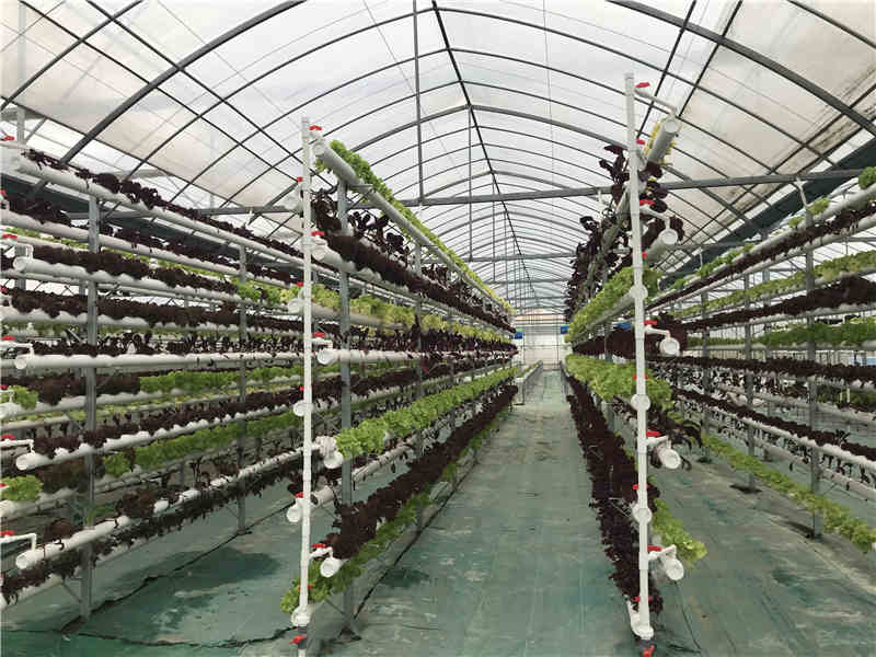 立體91视频APP在线观看